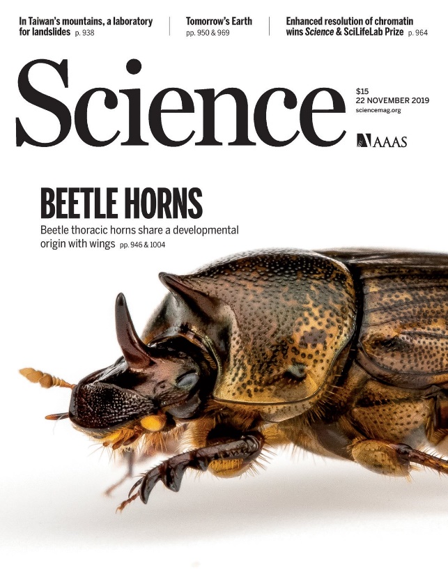 A picture containing text, insectDescription automatically generated